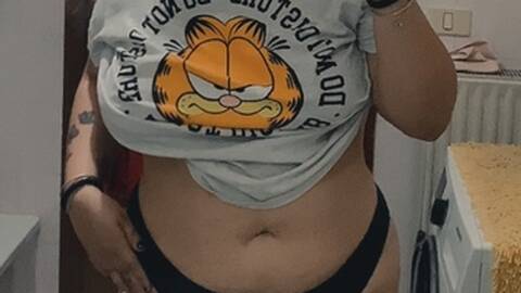Gattina_Regina