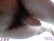 Private Photo of foreversex